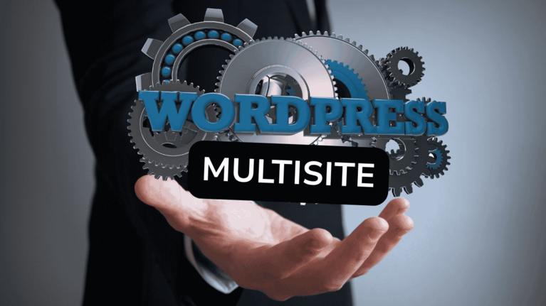 Was ist Wordpress Multisite?