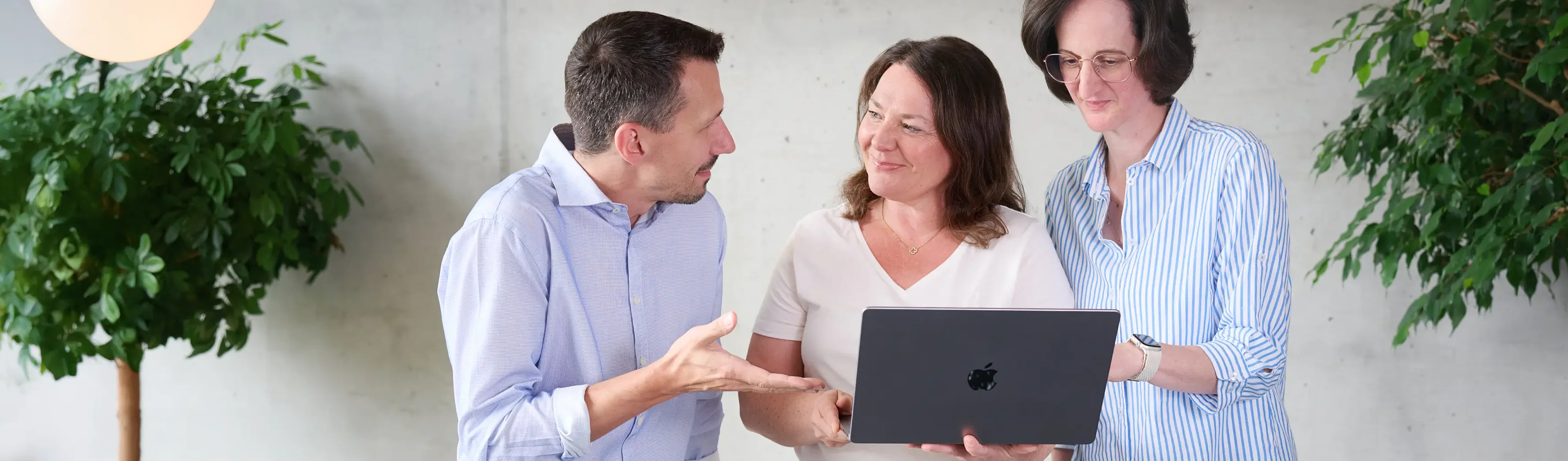 Website Team der krick.com